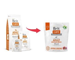 Brit Care Hypoallergenic kuivaruoka aikuisille keskikokoisille koirille karitsalla, 1 kg hinta ja tiedot | Koiran kuivaruoka | hobbyhall.fi