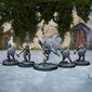 The Elder Scrolls Call to Arms Dawnguard Core Set hinta ja tiedot | Pelien oheistuotteet | hobbyhall.fi