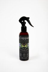 Spray huonetuoksu Black Edition, Cashmere Comforts, 200 ml hinta ja tiedot | Huonetuoksut | hobbyhall.fi
