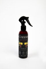 Spray huonetuoksu Black Edition, Pink Pepper & Guaiac Wood, 200 ml hinta ja tiedot | Huonetuoksut | hobbyhall.fi