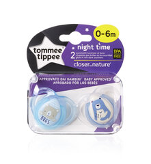 Tutti Assorted Tommee Tippee, silikoni, Night Style 0-6 m, 2 kpl hinta ja tiedot | Tutit | hobbyhall.fi