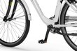 Ecobike Traffic 11.6 Ah Greenway, valkoisen värinen Sähköpyörä hinta ja tiedot | Sähköpyörät | hobbyhall.fi