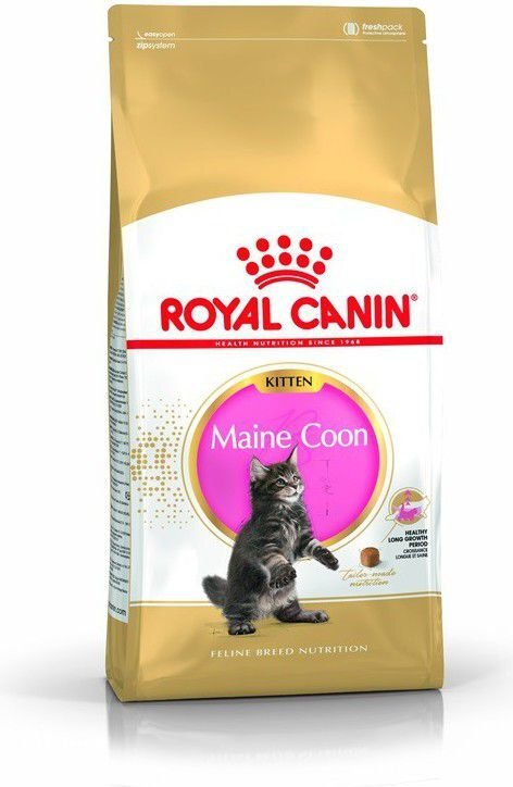 Royal Canin kissanruoka Maine Coon -rotuisille kissanpennuille, 0.4 kg hinta ja tiedot | Kissan kuivaruoka | hobbyhall.fi