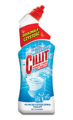 Cillit Ice Fresh -wc-puhdistusaine, 750 ml hinta ja tiedot | Cillit Koti ja keittiö | hobbyhall.fi