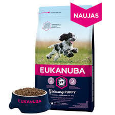 Eukanuba Puppy kuivaruoka pennuille alle 12kk, kananlihaa, 3kg hinta ja tiedot | Eukanuba Lemmikit | hobbyhall.fi