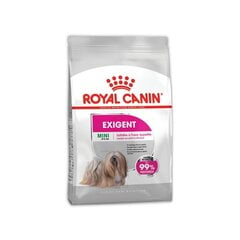 Royal Canin Mini Exigent kuivaruoka pienille koiraroduille, 1 kg hinta ja tiedot | Koiran kuivaruoka | hobbyhall.fi