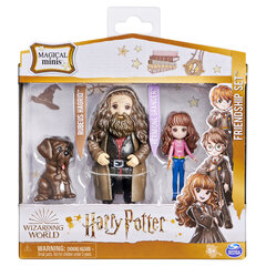 HARRY POTTER Magical Mini Ystävyyssetti, Hermione ja Hagrid hinta ja tiedot | Harry Potter Sisustus | hobbyhall.fi