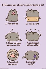 Pusheen Reasons to be a Cat - juliste 61 x 91,5 cm hinta ja tiedot | Taulut | hobbyhall.fi