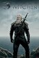 The Witcher - juliste 61 x 91,5 cm hinta ja tiedot | Taulut | hobbyhall.fi