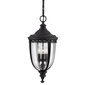 Elstead Lighting English bridle FE-EB8-L-BLK -ulkoriippuvalaisin, 26,7 x 26,7 x 62 cm, E14, musta / kirkas läpinäkyvä hinta ja tiedot | Puutarha- ja ulkovalot | hobbyhall.fi