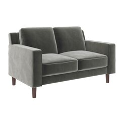 Brynn Loveseat -sohva, 140 x 84 x 80 cm, harmaa hinta ja tiedot | Sohvat ja vuodesohvat | hobbyhall.fi