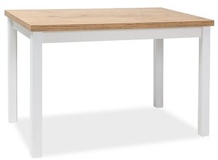 Pöytä Adam DLB, 60x100 cm, tammi/valkoinen hinta ja tiedot | Ruokapöydät | hobbyhall.fi