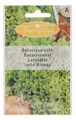 Lehtisalaatti "Lollo Bionda", 1 g hinta ja tiedot | Kasvisten siemenet | hobbyhall.fi