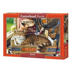 Palapeli Castorland Cat 500 osaa hinta ja tiedot | Palapelit | hobbyhall.fi