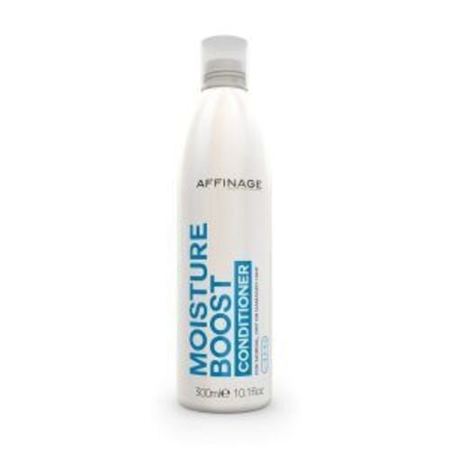 Kosteuttava hiustenhoitoaine Asp Mode Moisture Boost, 300ml hinta ja tiedot | Hoitoaineet | hobbyhall.fi