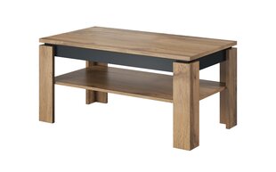 Sohvapöytä Cama Meble Toro 100, ruskea/harmaa hinta ja tiedot | Sohvapöydät | hobbyhall.fi