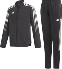 Tiro Suit Junior, GP1027 Adidas lasten verryttelypuku hinta ja tiedot | Poikien kokoasut ja setit | hobbyhall.fi