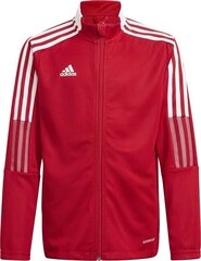 Lasten Adidas pusero, Tiro 21 Track Jr, GM7312 hinta ja tiedot | Poikien puserot, liivit ja jakut | hobbyhall.fi