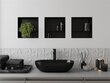 Mexen X-Wall-NR upotettava seinähylly 2l, 30x30 cm, musta hinta ja tiedot | Kylpyhuoneen sisustus | hobbyhall.fi