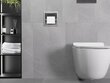 Mexen X-Wall-P piilotettava wc-paperiteline, Inox hinta ja tiedot | Kylpyhuoneen sisustus | hobbyhall.fi
