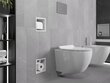 Mexen X-Wall-BP piilotettava wc-paperipidike kehyksellä, valkoinen hinta ja tiedot | Kylpyhuoneen sisustus | hobbyhall.fi