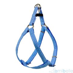 Amibelle nahkavaljaat Mac, 25 cm, sininen hinta ja tiedot | Koiran valjaat ja kaulapannat | hobbyhall.fi