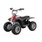 ATV Razor Dirt Quad, musta hinta ja tiedot | Lasten sähköautot | hobbyhall.fi