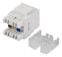 Deltaco MD-110, RJ45 UTP (CAT 6) hinta ja tiedot | Kaapelit ja adapterit | hobbyhall.fi