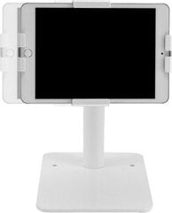 Neomounts Tablet Mount Neomounts DS15-625WH1 White hinta ja tiedot | Tablettien lisätarvikkeet | hobbyhall.fi