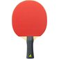 Pöytätennissetti Joola TT-Set Quatro hinta ja tiedot | Pingismailat | hobbyhall.fi