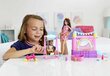 Barbie Skipper Babysitters leikkikenttä hinta ja tiedot | Tyttöjen lelut | hobbyhall.fi