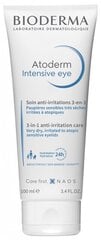 Silmänympärysvoide Bioderma Atoderm Intensive Eye, 100 ml hinta ja tiedot | Bioderma Hajuvedet ja kosmetiikka | hobbyhall.fi