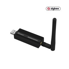 USB-avain ZBDongle -P Zigbee 3.0 USB Dongle Plus hinta ja tiedot | Turvajärjestelmien ohjaimet | hobbyhall.fi