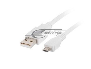 Cable Lanberg CA-USBM-10CC-0010 hinta ja tiedot | Kaapelit ja adapterit | hobbyhall.fi