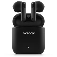 Niceboy Hive Beans langattomat Bluetooth-kuulokkeet hinta ja tiedot | Niceboy Tietokoneen lisälaitteet | hobbyhall.fi