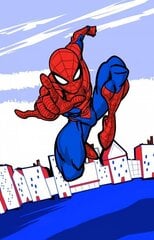 Lasten pyyhe Spiderman 30 x 50 cm hinta ja tiedot | Pyyhkeet | hobbyhall.fi