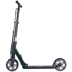 Potkulauta RIDEOO City 175 Green hinta ja tiedot | Rideoo Lapset | hobbyhall.fi