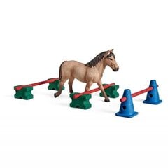 Schleich Poni ja slalomrata setti hinta ja tiedot | Tyttöjen lelut | hobbyhall.fi