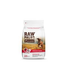 Raw Paleo viljaton kuivaruoka keskikokoisille koiranpennuille Puppy Medium naudanlihaa, 2,5 kg. hinta ja tiedot | Koiran kuivaruoka | hobbyhall.fi
