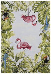 Hanse Home matto Tropical Birds 120x180 cm hinta ja tiedot | Isot matot | hobbyhall.fi