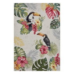 Hanse Home matto Tropical Dream 160x235 cm hinta ja tiedot | Isot matot | hobbyhall.fi