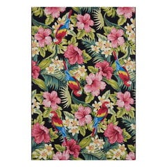 Hanse Home matto Tropical Feeling 120x180 cm hinta ja tiedot | Isot matot | hobbyhall.fi