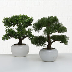 Boltze keinotekoinen kasvi Bonsai hinta ja tiedot | Sisustustuotteet | hobbyhall.fi