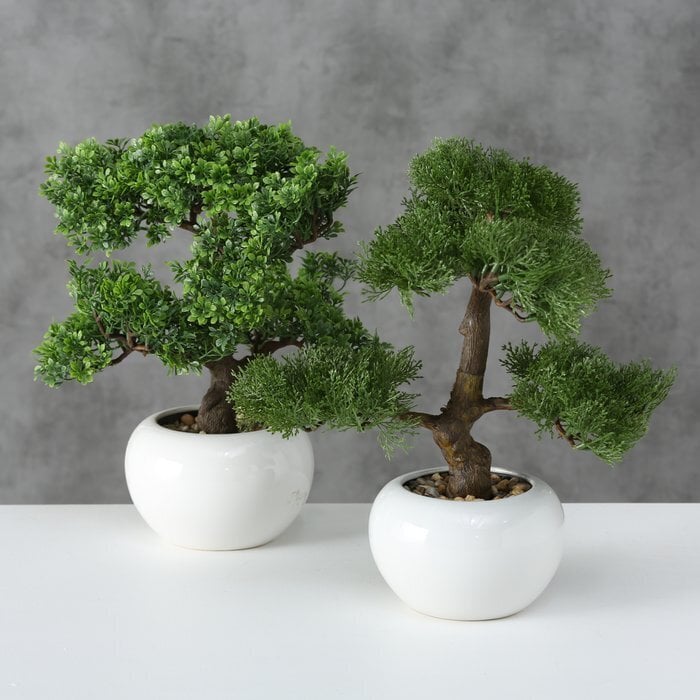 Boltze keinotekoinen kasvi Bonsai hinta ja tiedot | Sisustustuotteet | hobbyhall.fi