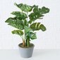 Boltze Monstera tekokasvi hinta ja tiedot | Sisustustuotteet | hobbyhall.fi