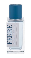 Gianfranco Ferre Fougere Italiano EDT miehille 50 ml hinta ja tiedot | Miesten hajuvedet | hobbyhall.fi