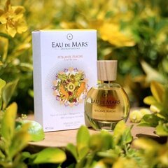 Naisten hajuvesi Maison de Mars Parfyymi Eau de Mars Petillante Aurore, 30 ml hinta ja tiedot | Maison de Mars Hajuvedet ja kosmetiikka | hobbyhall.fi