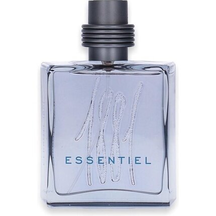 Hajuvesi Cerruti 1881 Essentiel EDT miehille 100 ml hinta ja tiedot | Miesten hajuvedet | hobbyhall.fi