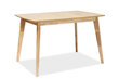 Brando pöytä, 80x120 cm, tammen väri hinta ja tiedot | Ruokapöydät | hobbyhall.fi