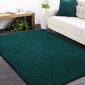 Liukumaton matto Shaggy vihreä, 200x290 cm hinta ja tiedot | Isot matot | hobbyhall.fi